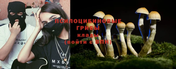 ПСИЛОЦИБИНОВЫЕ ГРИБЫ Алексин