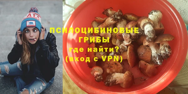 ПСИЛОЦИБИНОВЫЕ ГРИБЫ Алексин