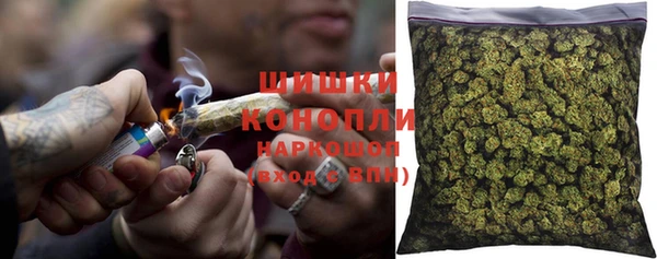 шишки Алзамай